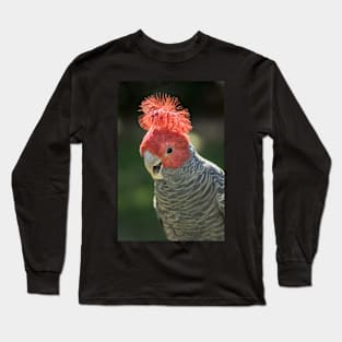 Gang Gang Cockatoo Long Sleeve T-Shirt